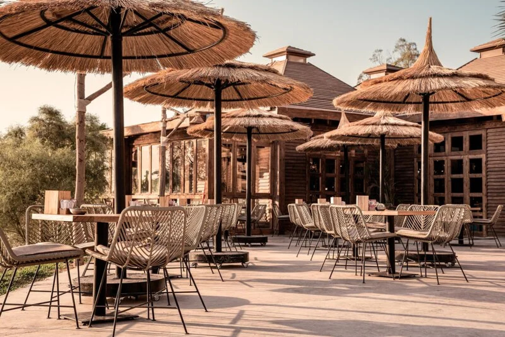 Cook's Club El Gouna - Adults Only