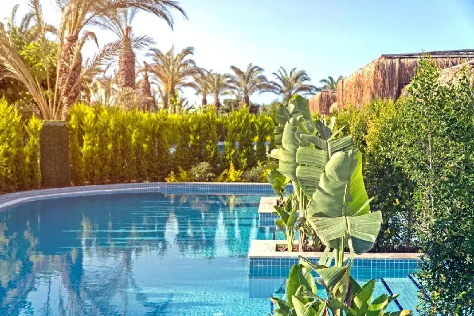 Royal Wings Hotel — All Inclusive