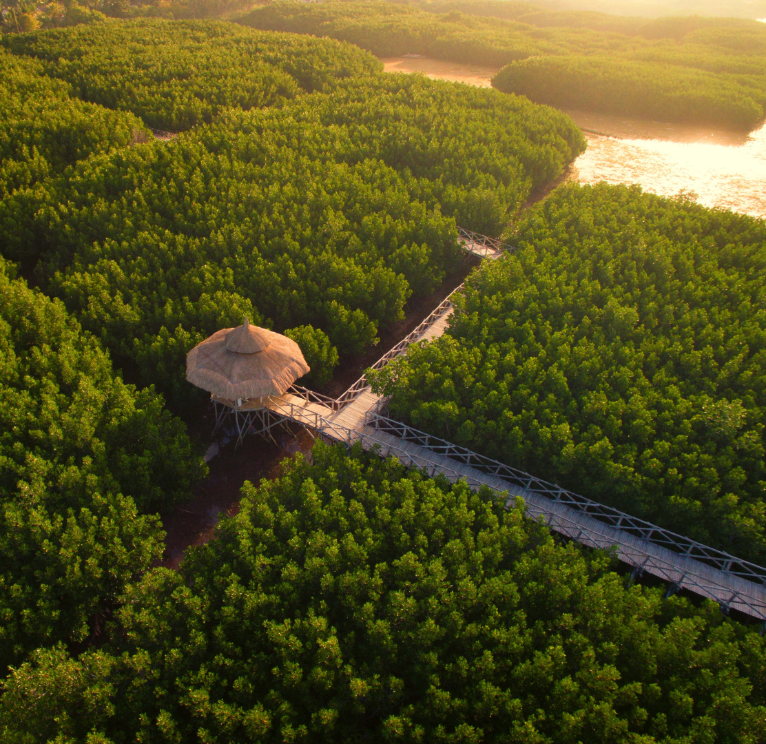 North Zen Villas