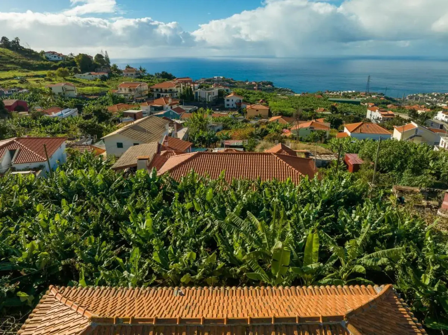 Casa da Avó Celina