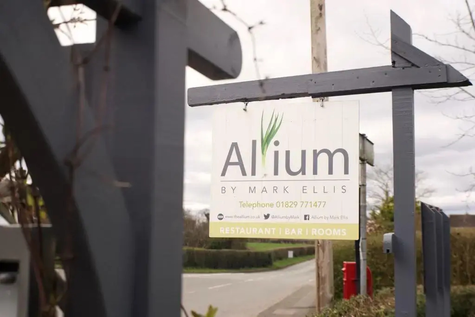 Allium by Mark Ellis