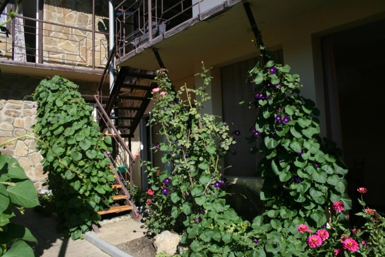 French patio