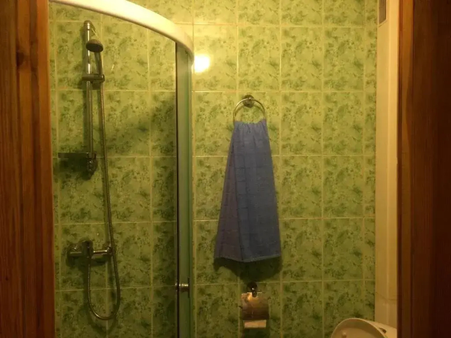 Гостевой дом С.Н.Е.Г.