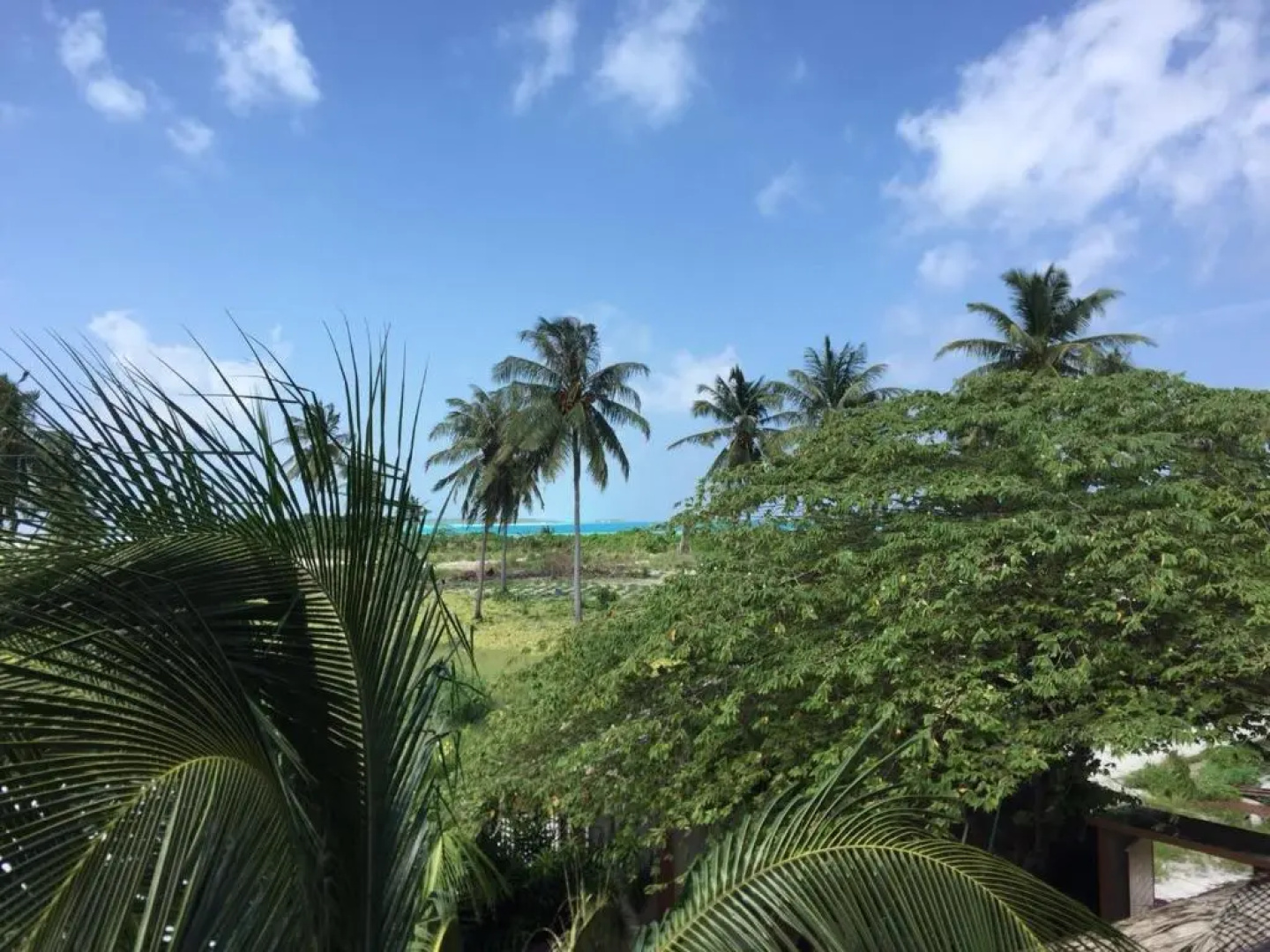 Shamar Guesthouse & Dive