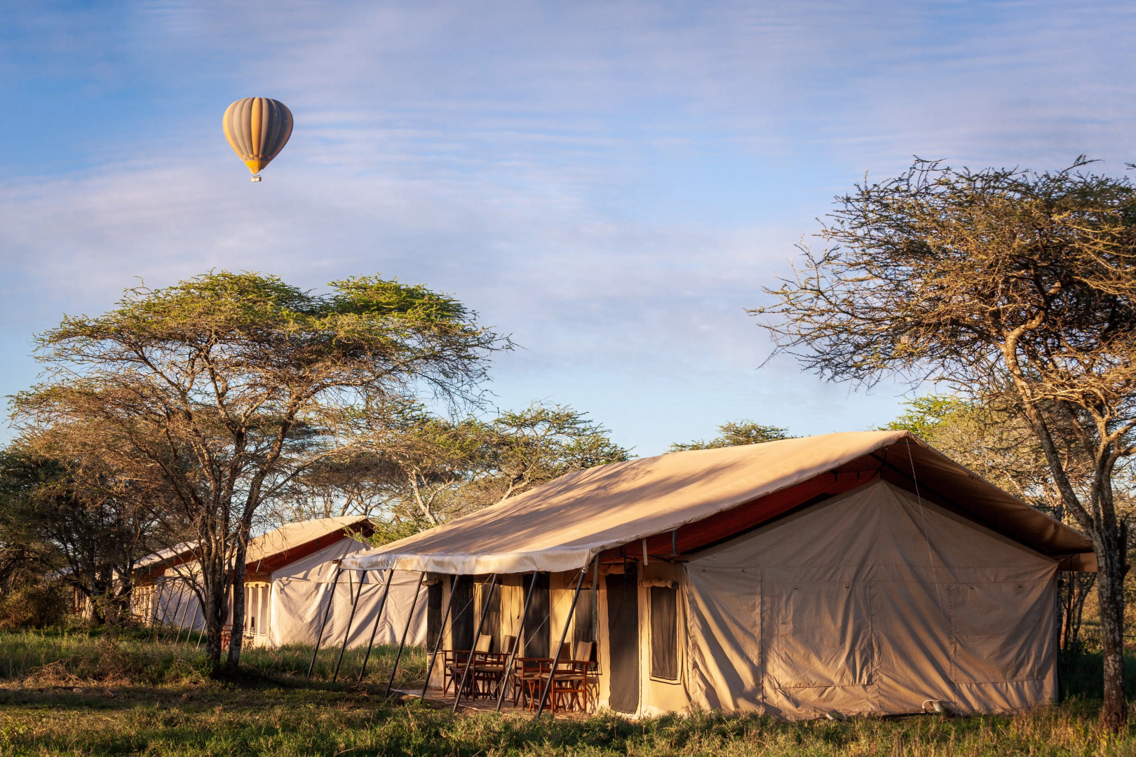 Gnu Ndutu Camp