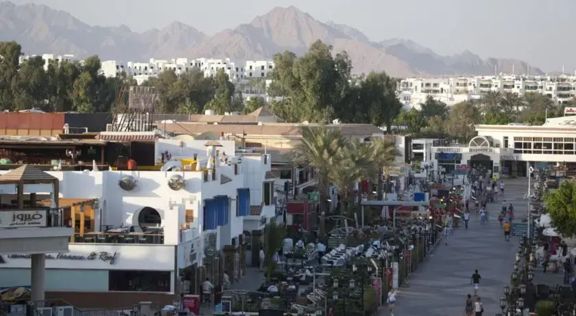 Camel Dive Club & Hotel