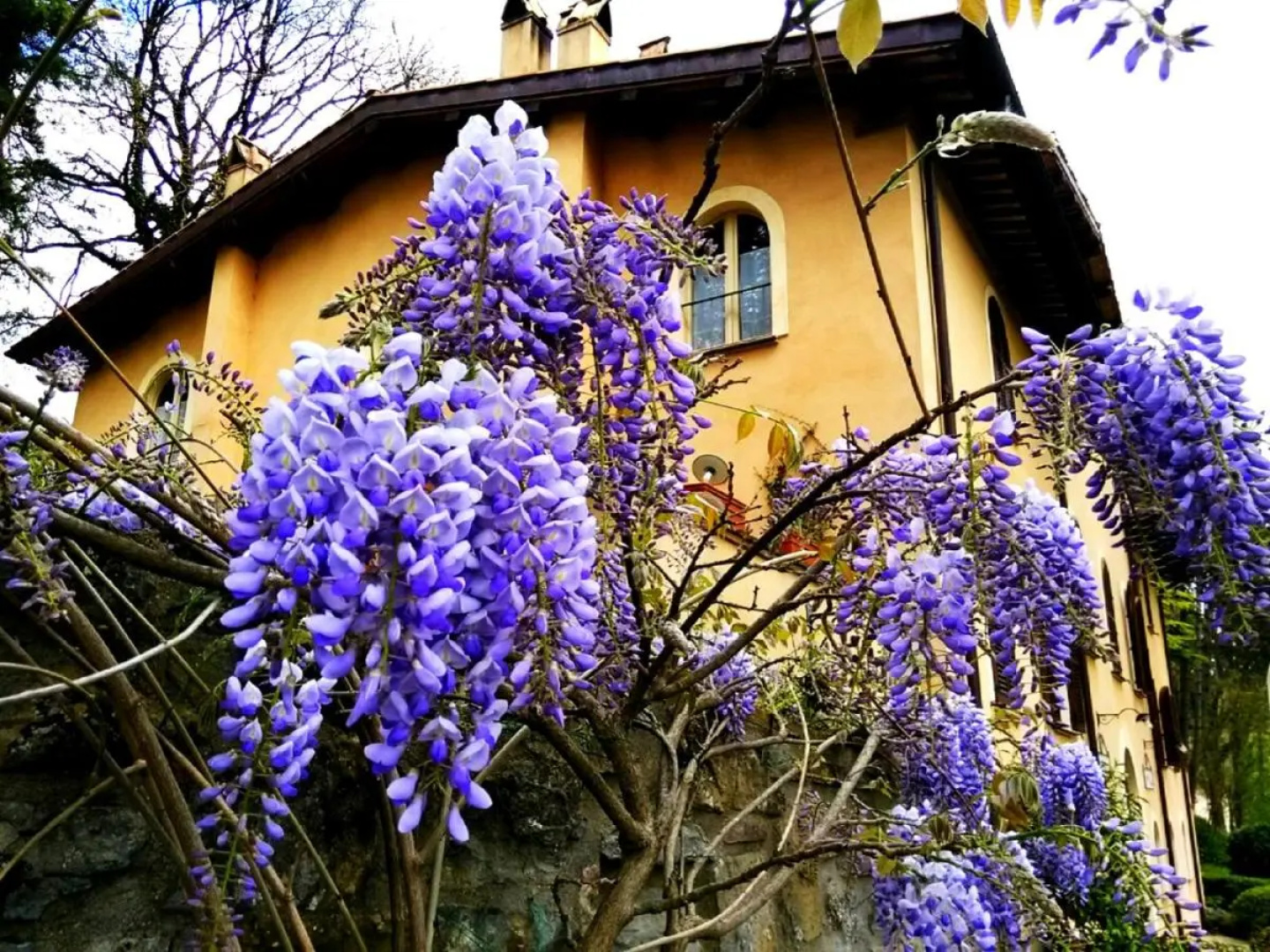Country House La Locanda del Borgo