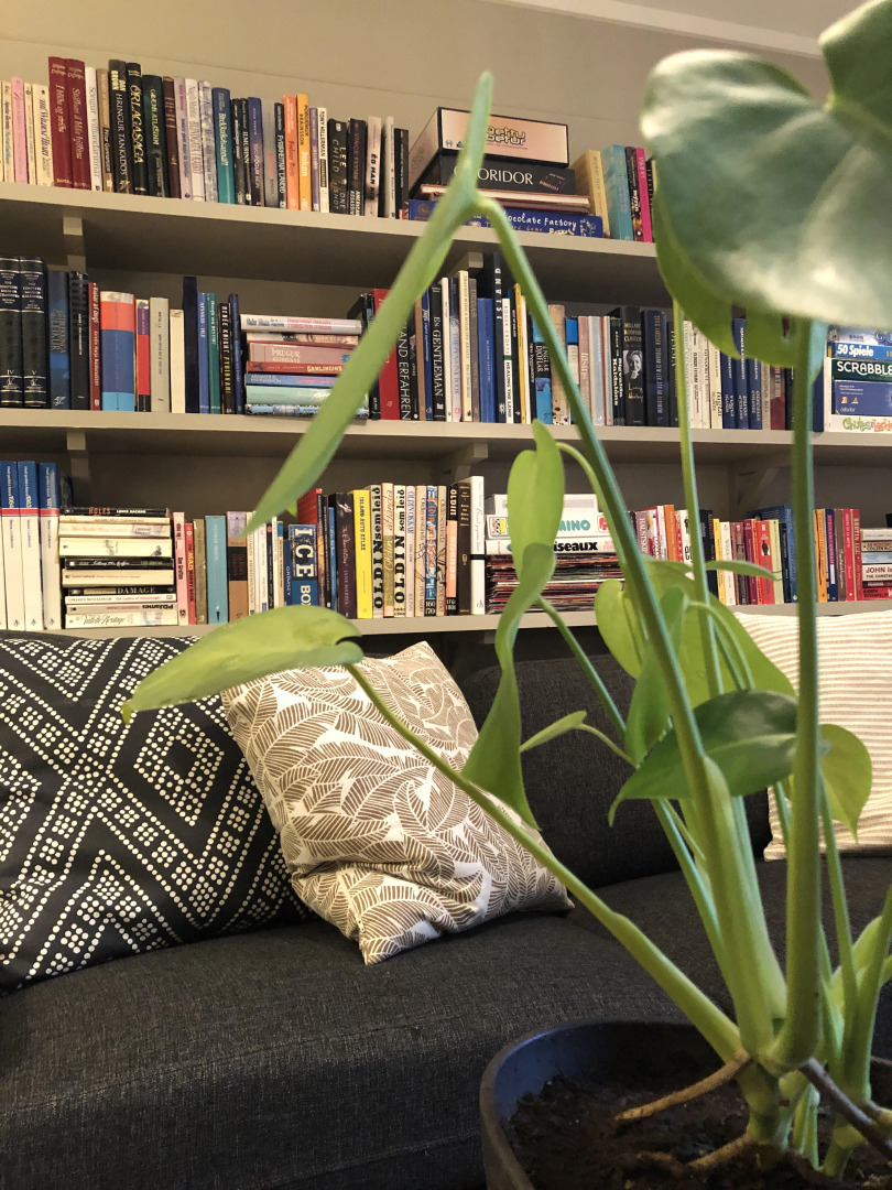 Raudaskrida Hotel & Guesthouse