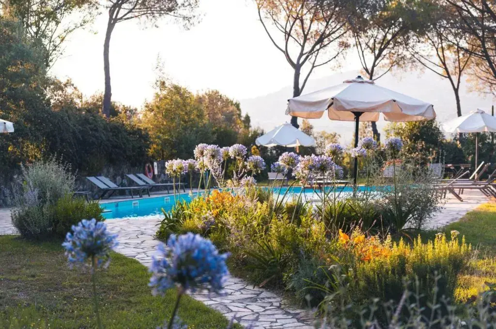 Tenuta il Cicalino