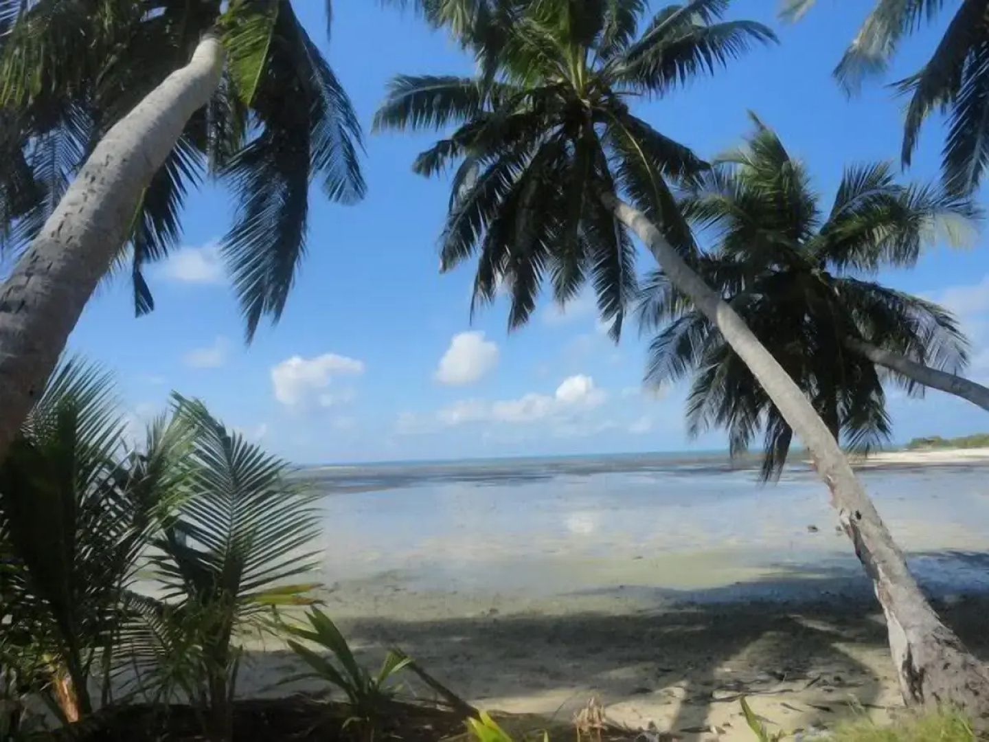 Equator Homestay