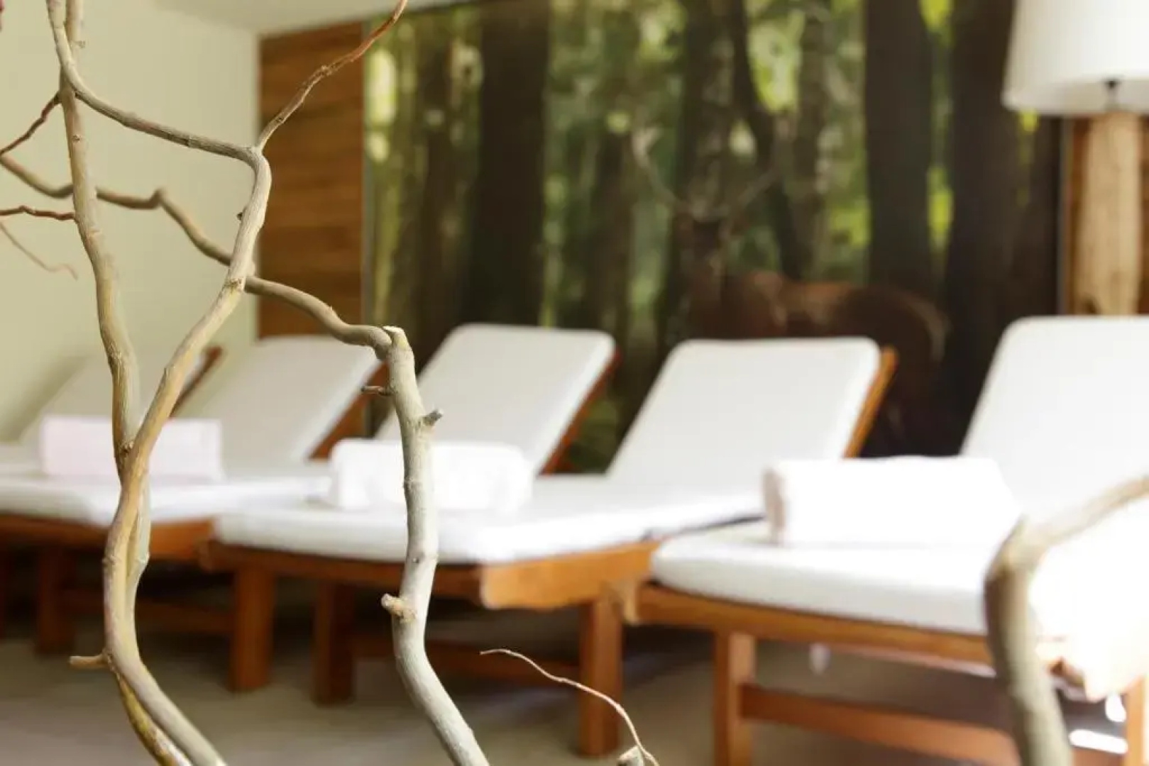Boutique Hotel and Chalets Salvadori