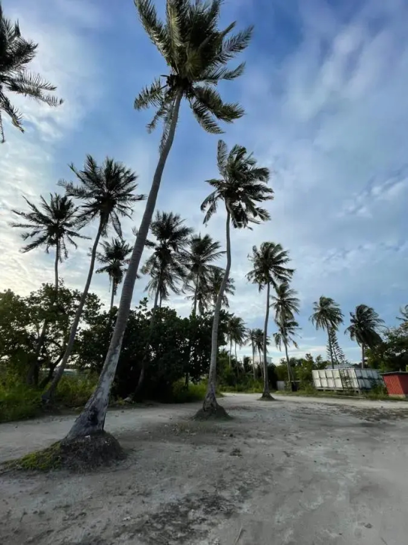 Отель La Isla Tropica