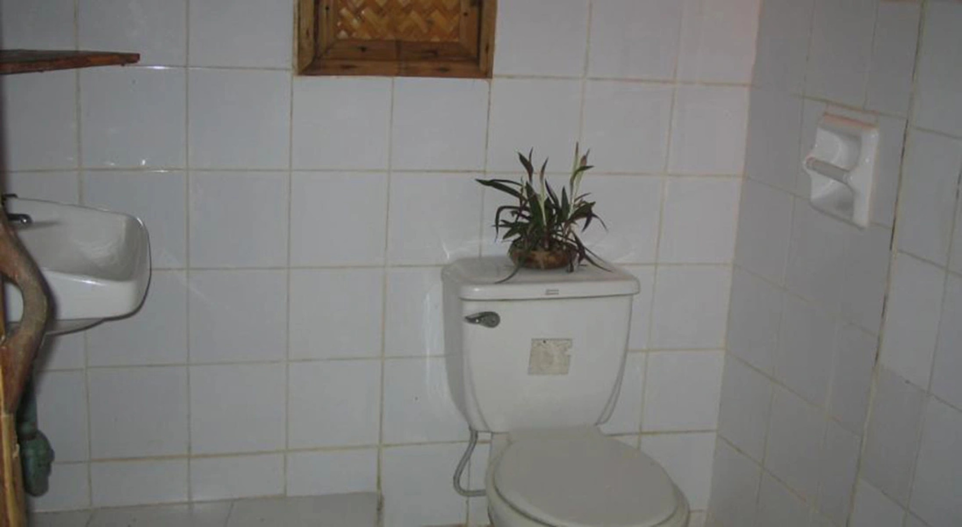 Sunset Cove Beach & Dive Resort