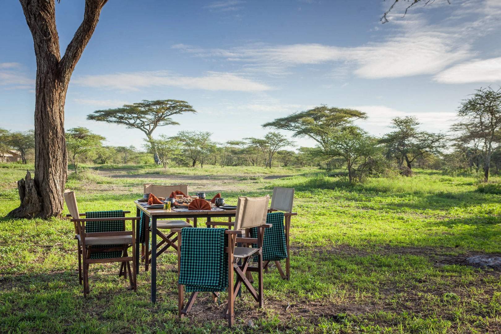 Gnu Ndutu Camp