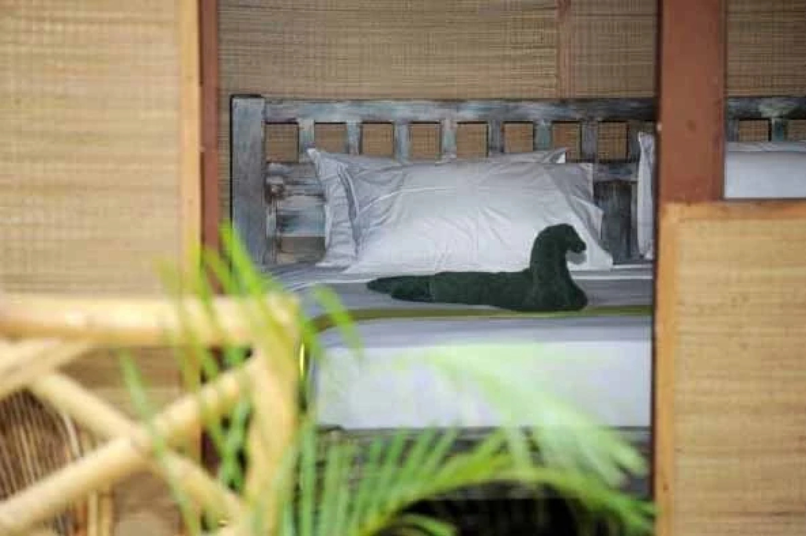 Coastal Jewel Of Goa