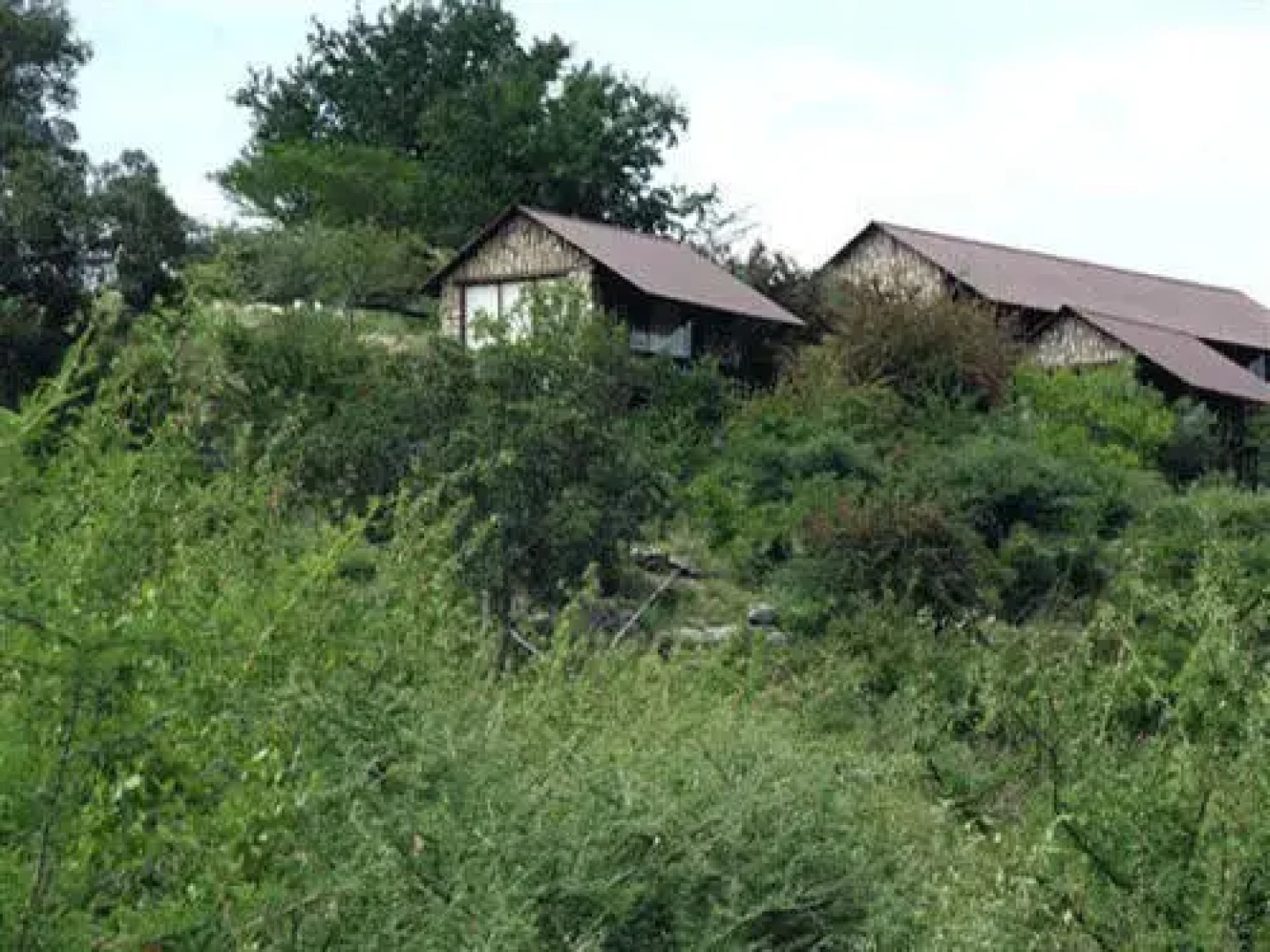 Aloegrove Safari Lodge