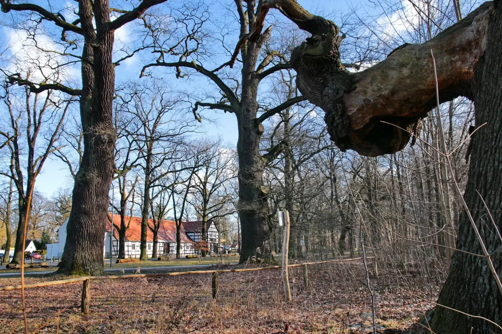 Schwanenkrug