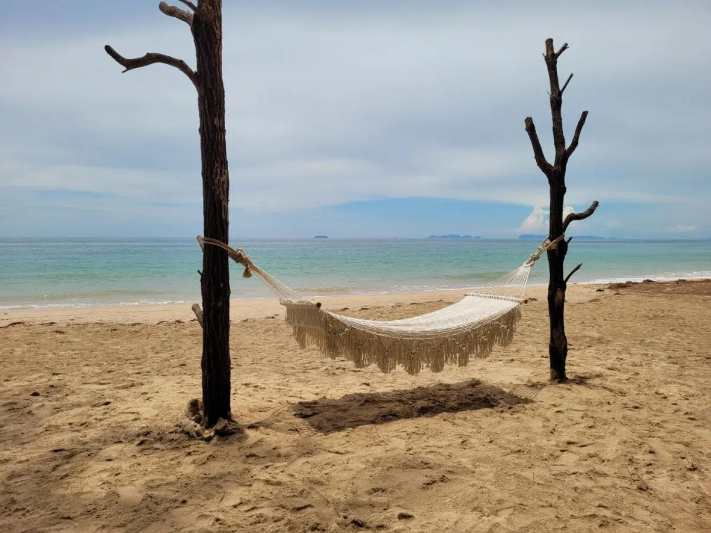 Отель Long Beach Chalet