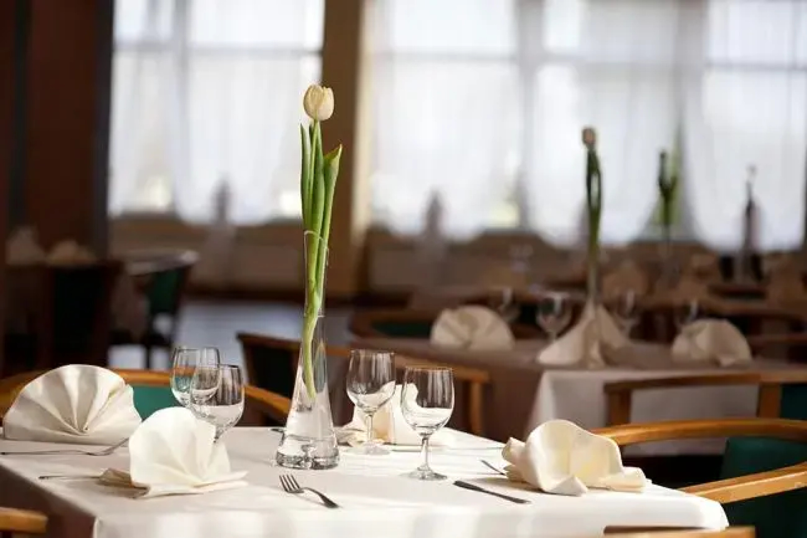 Hotel Albatros
