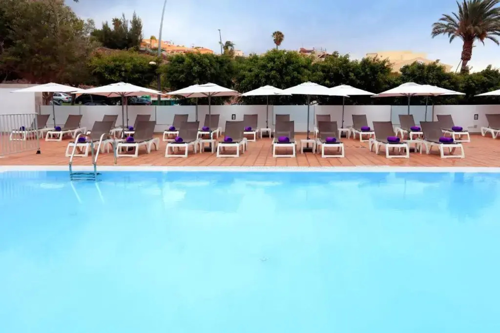 FERGUS Cactus Garden