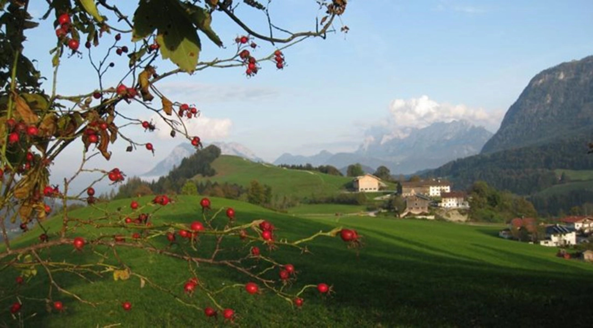 Schiestlhof