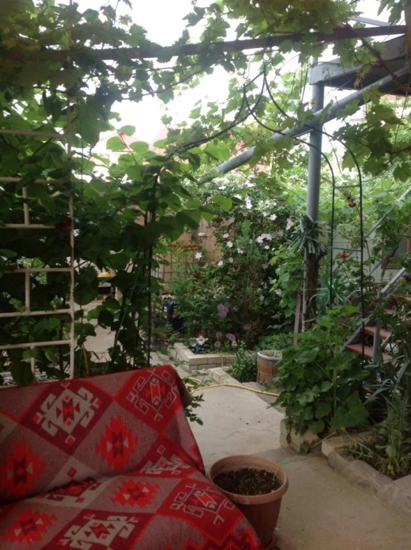 Demid Guest House