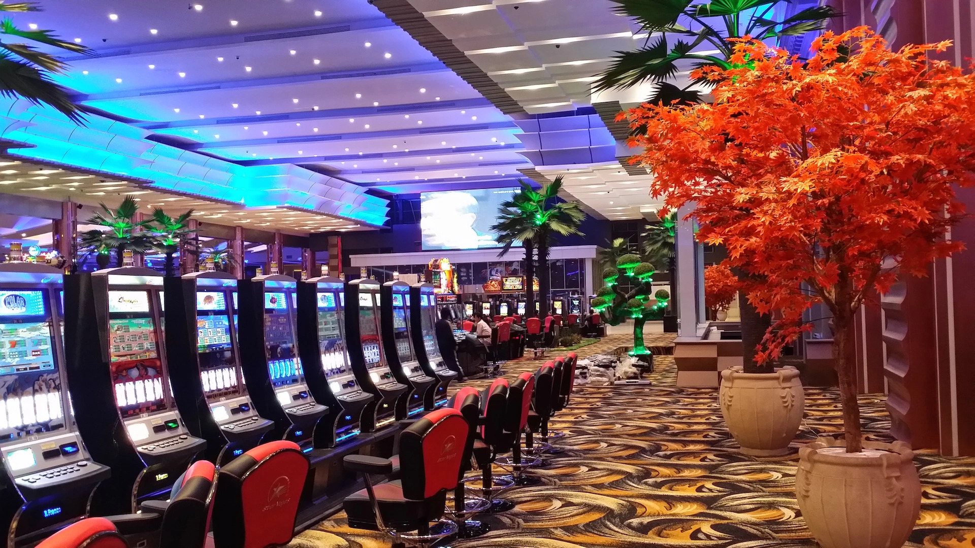 Star Vegas Intl Resort And Casino