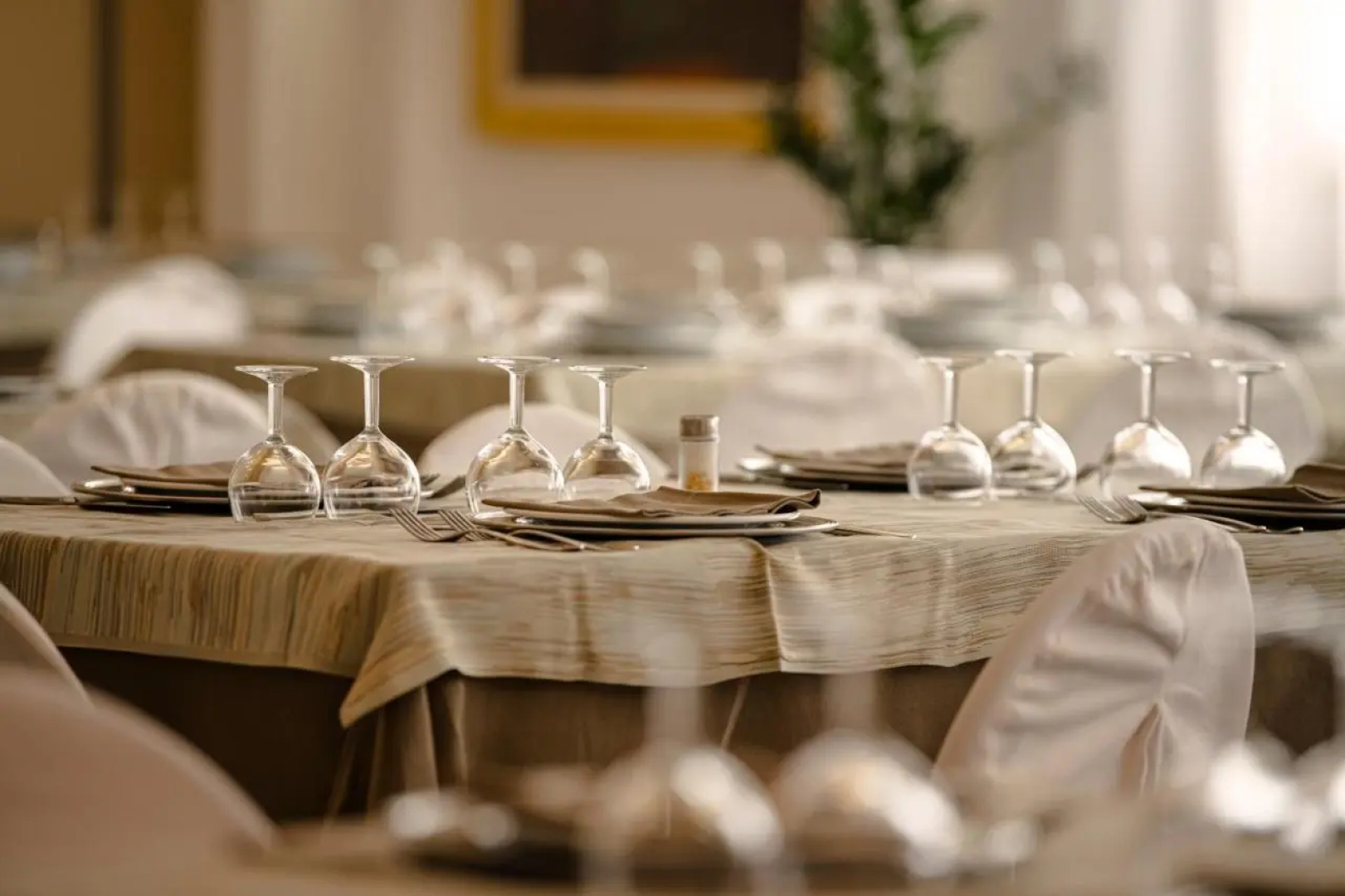 Hotel Califfo