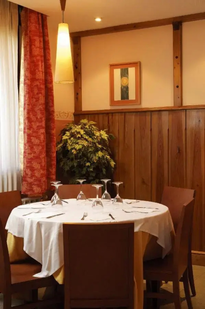 Hotel Pirineos