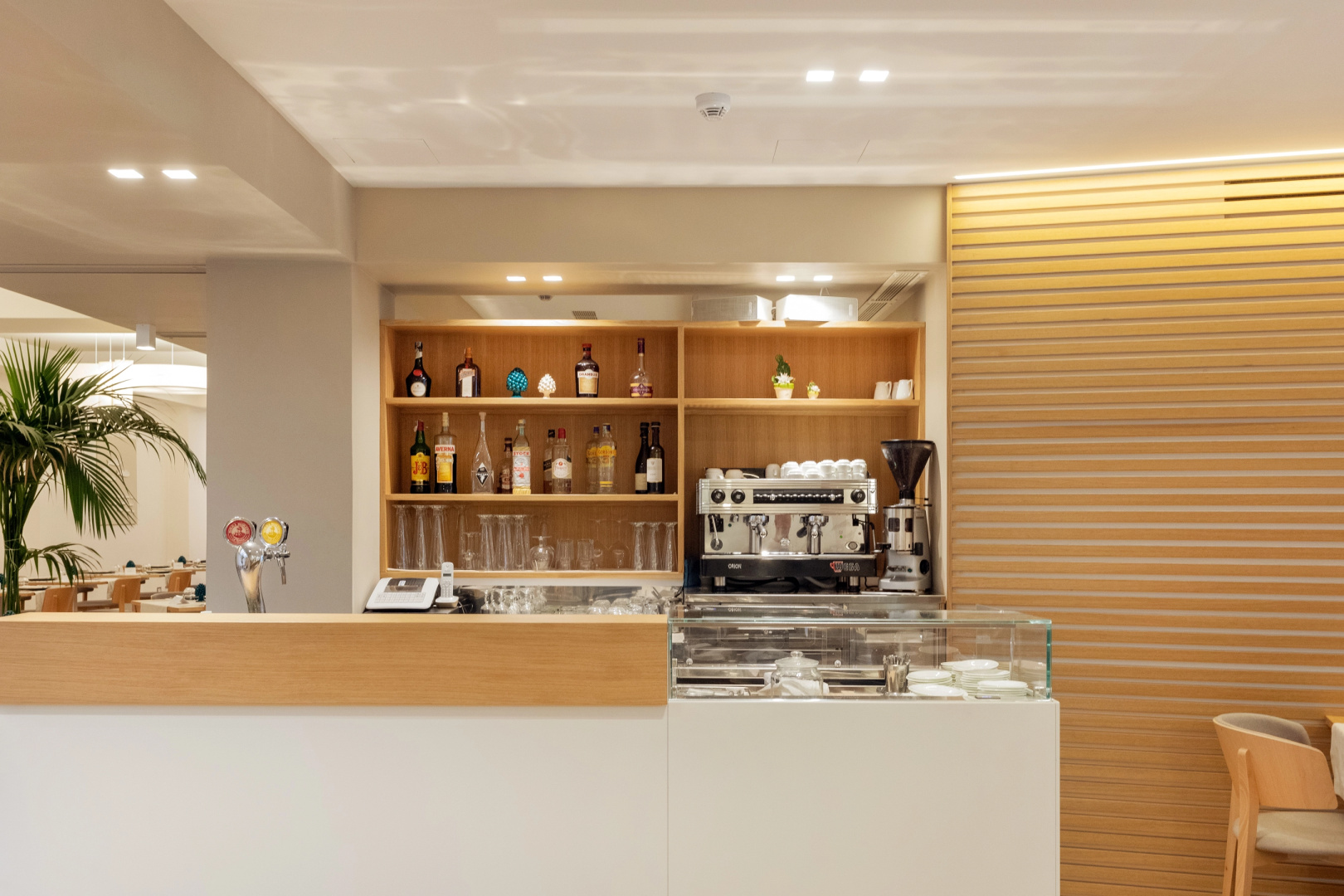 Albatros Beach Hotel