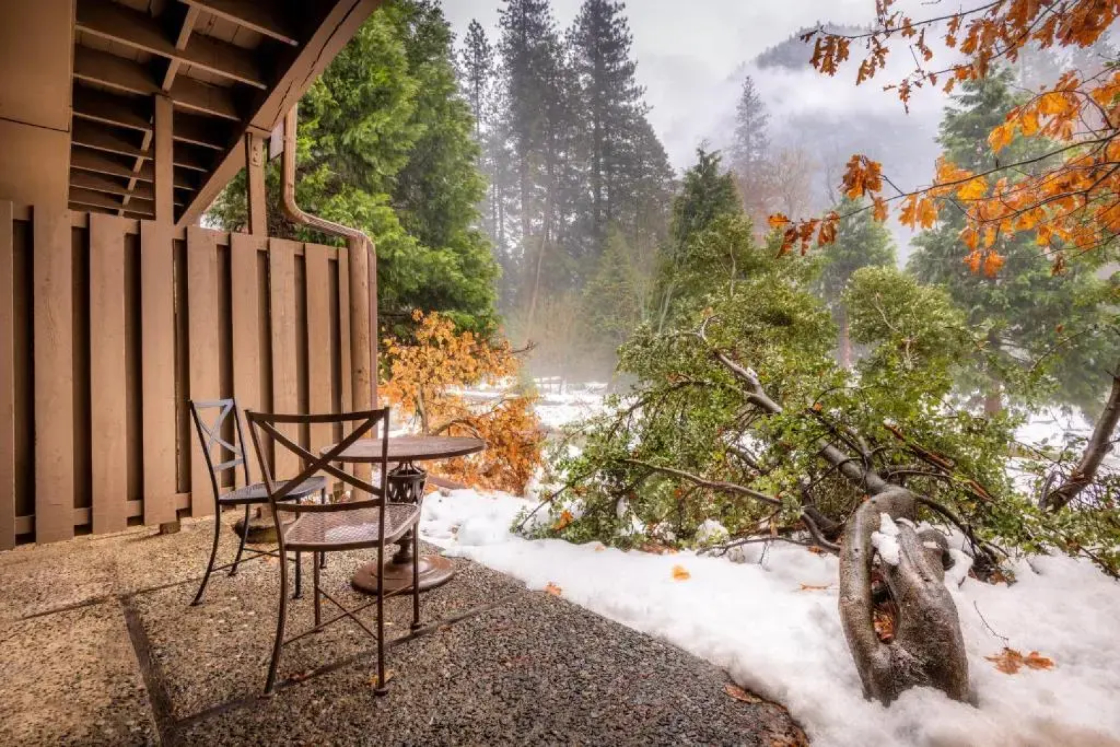 Отель Yosemite Valley Lodge