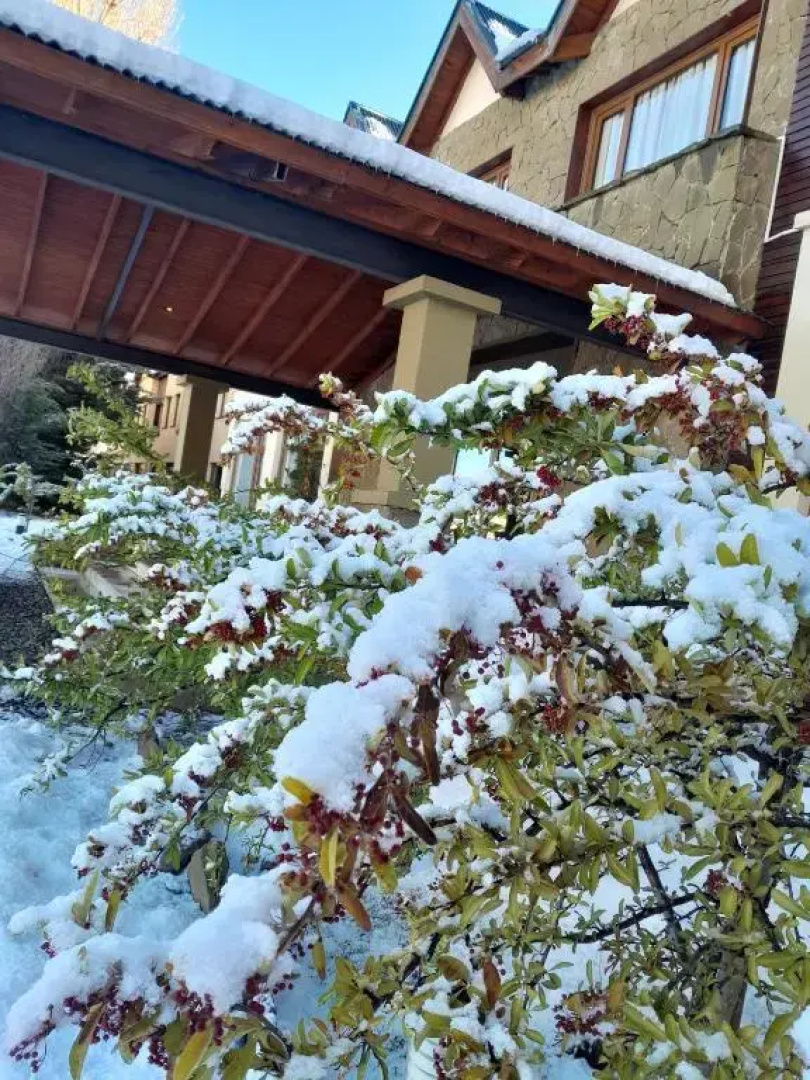 Rochester Calafate