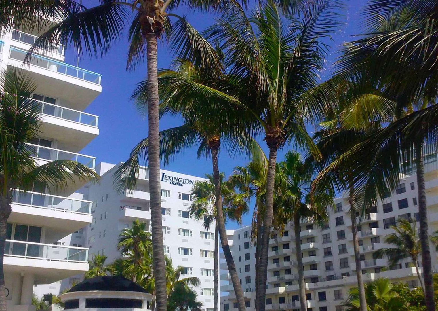 Lexington by Hotel RL Miami Beach