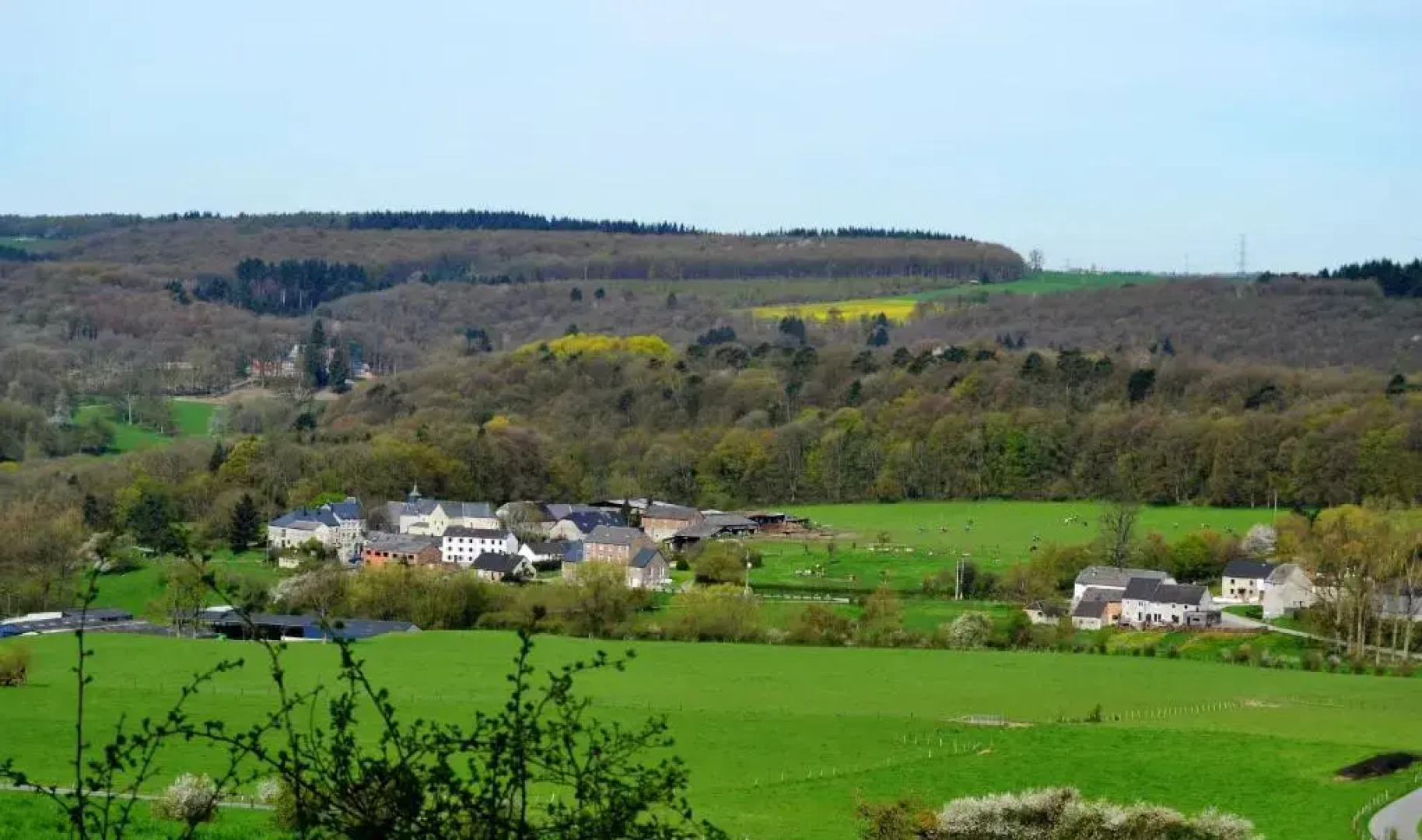 La Grange de David