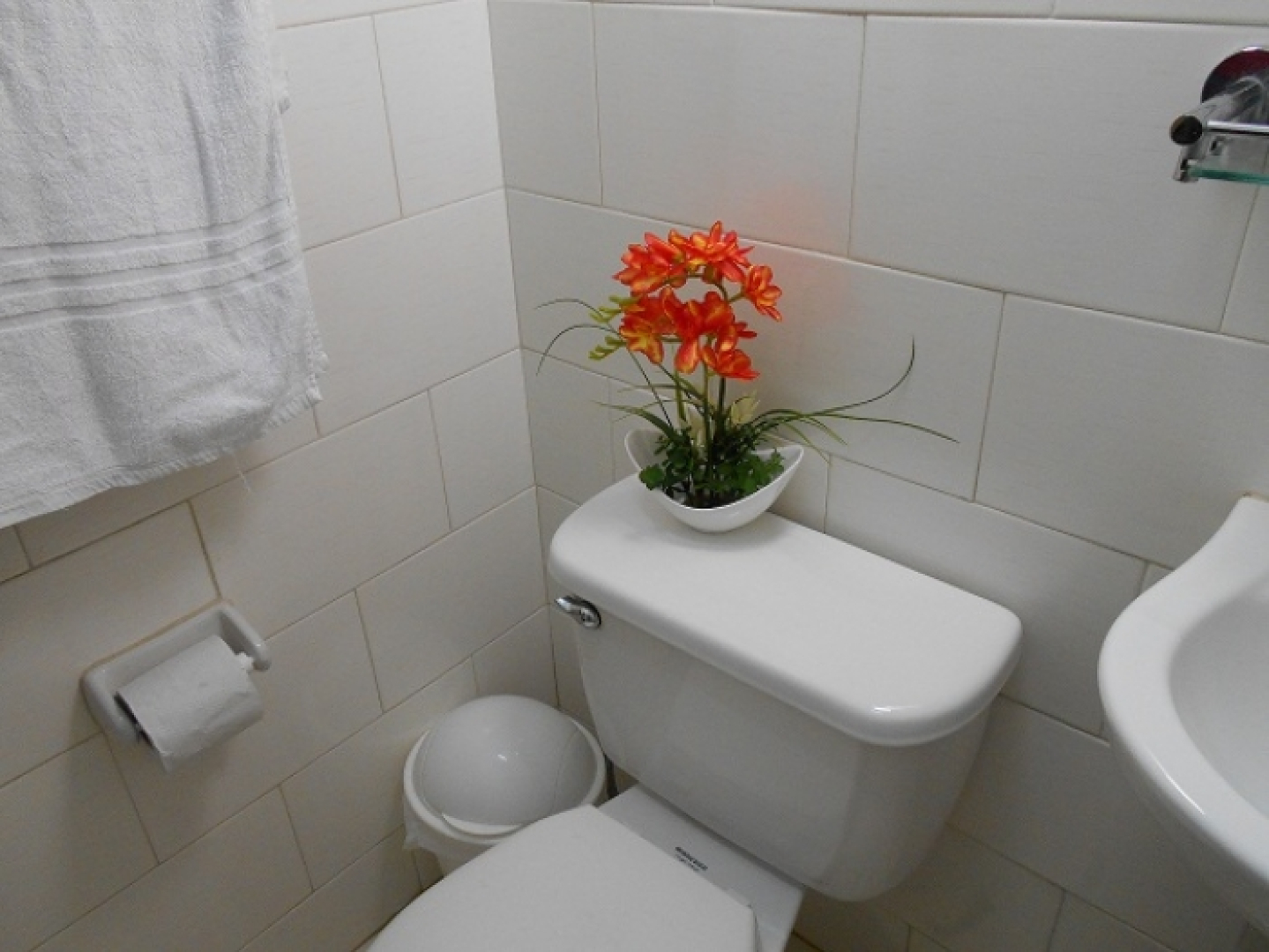 House in front of the sea