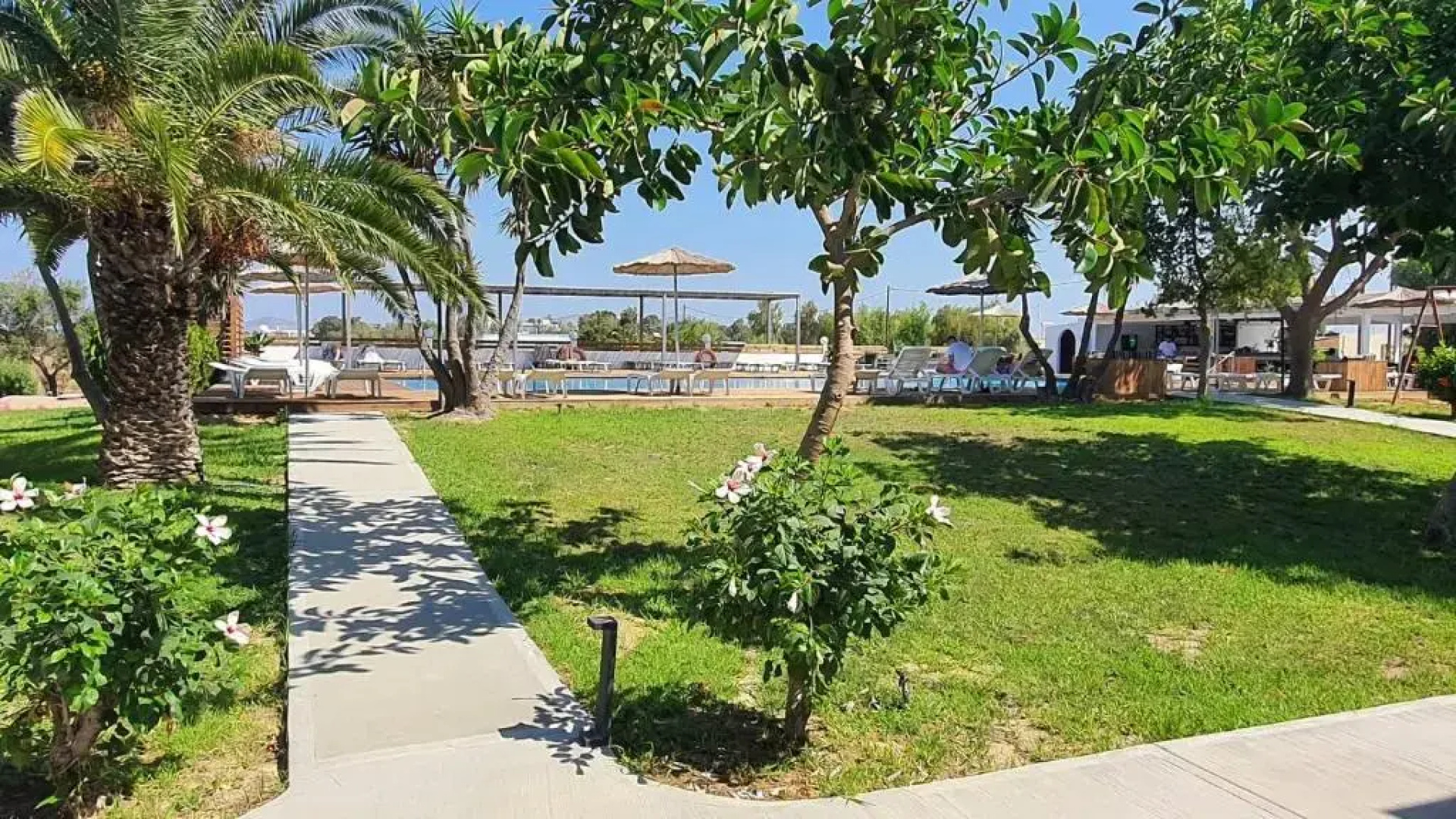 Summer Village of Hippocrates