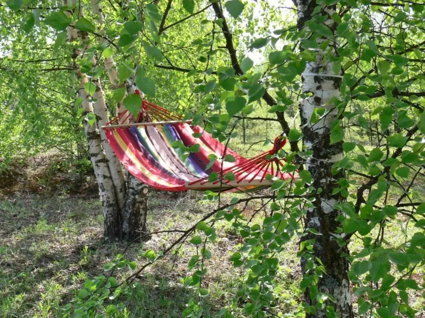 Camping Bereg Best Beach Stylish Coastline National Park Valday
