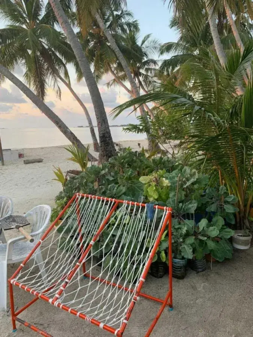 Отель La Isla Tropica