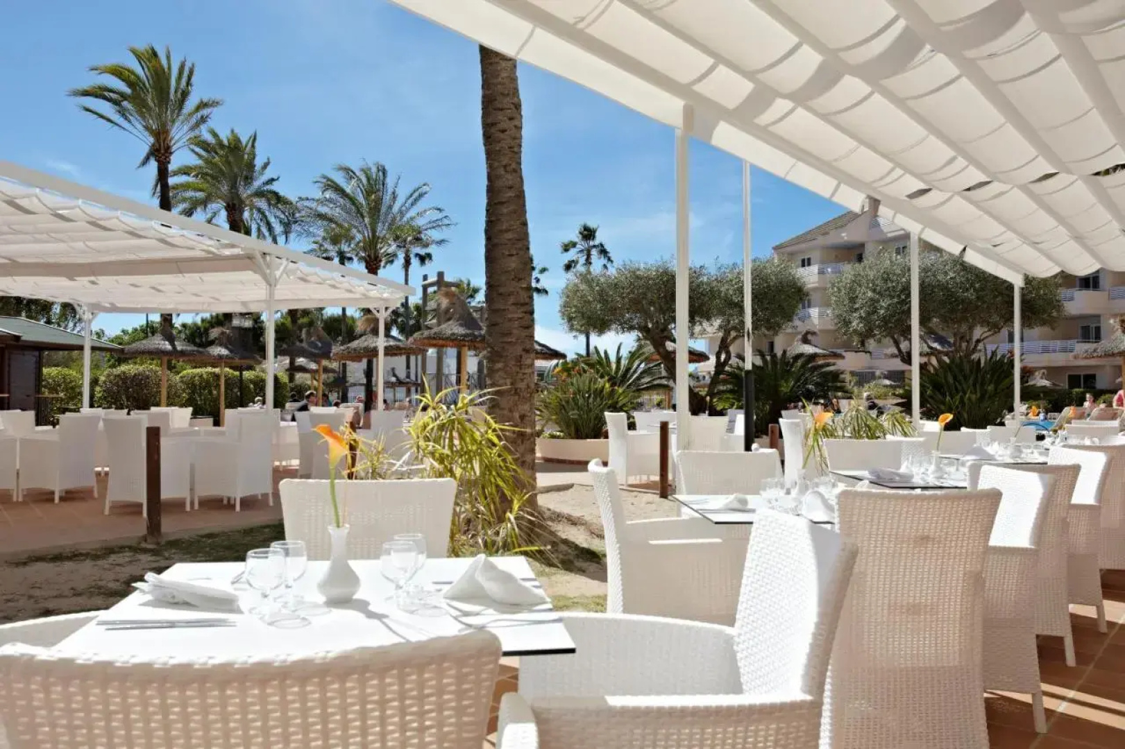 Grupotel Port d'Alcudia