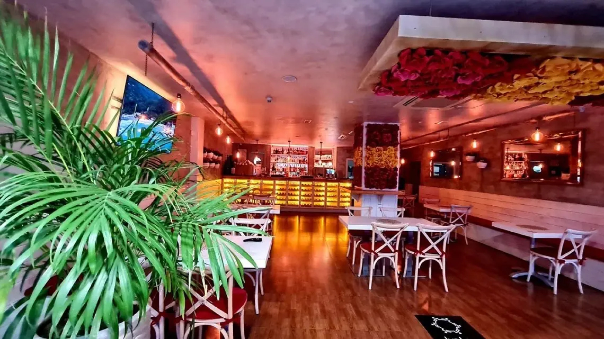 Hotel Baviera