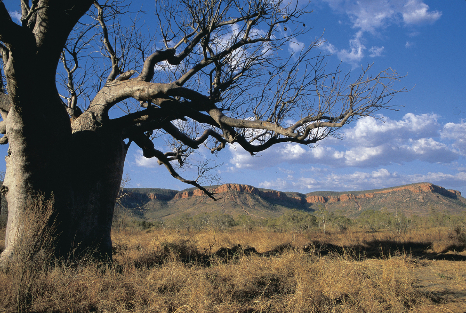 El Questro Homestead