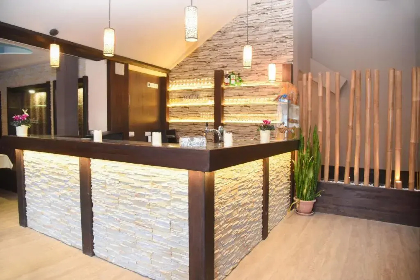 Oázis Wellness Kft.	