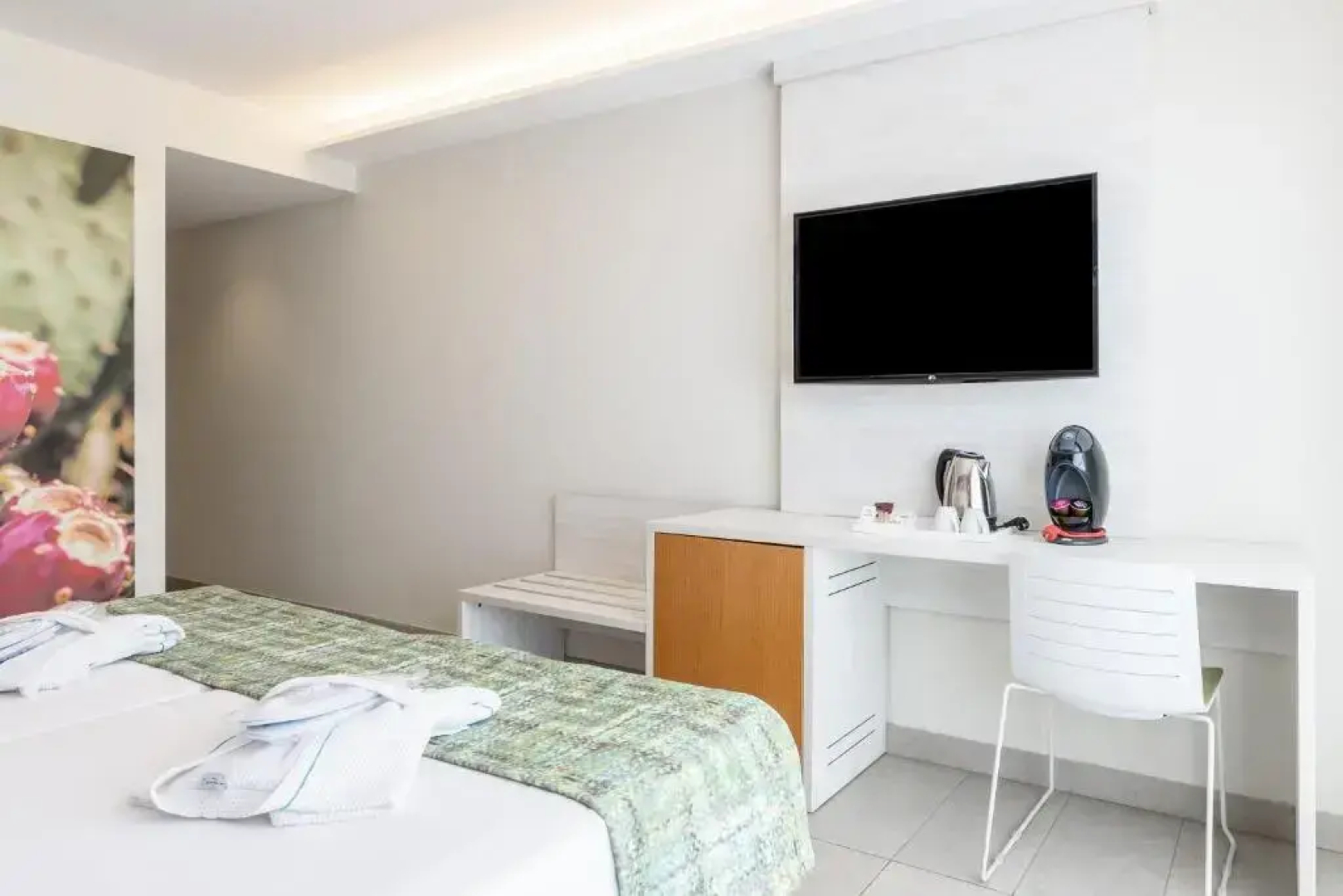 FERGUS Cactus Garden