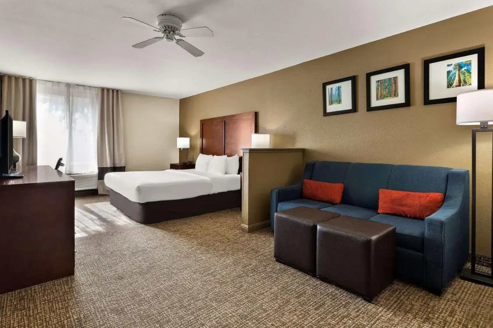 Comfort Inn & Suites Sequoia/Kings Canyon