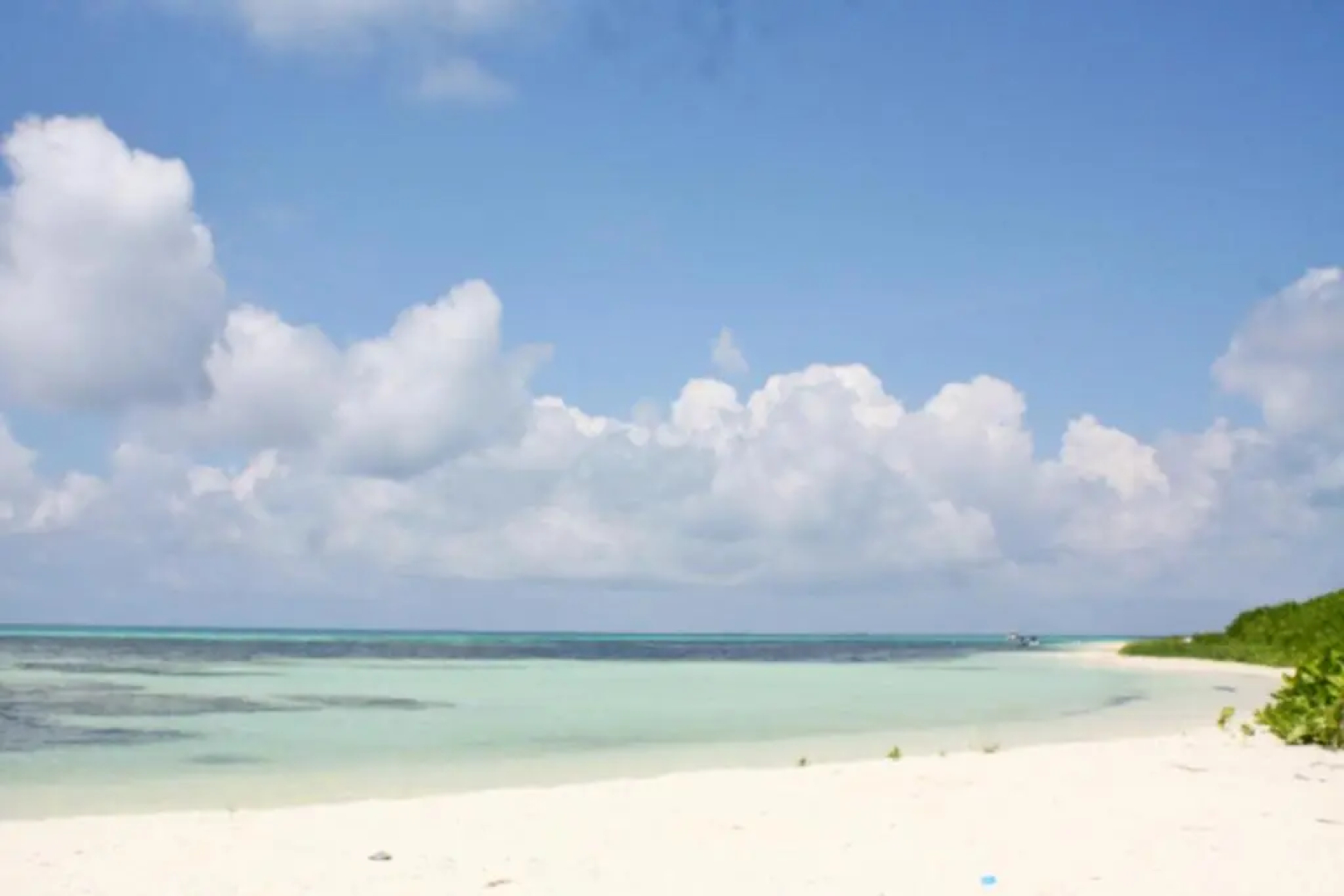 Shamar Guesthouse & Dive