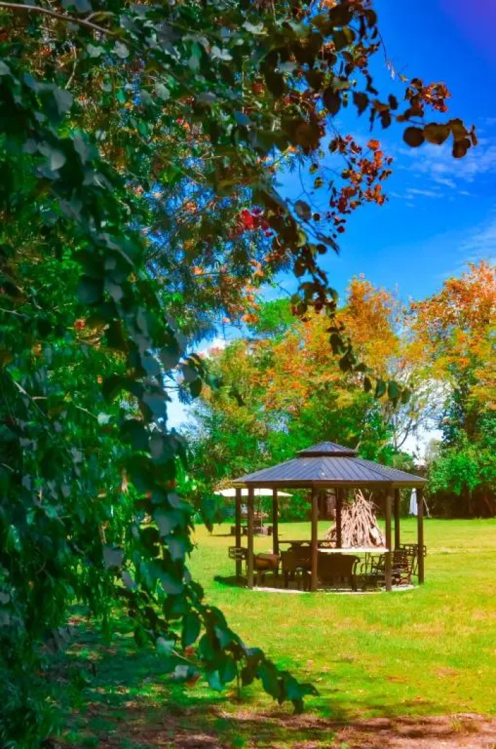 Отель Rancho Constanza