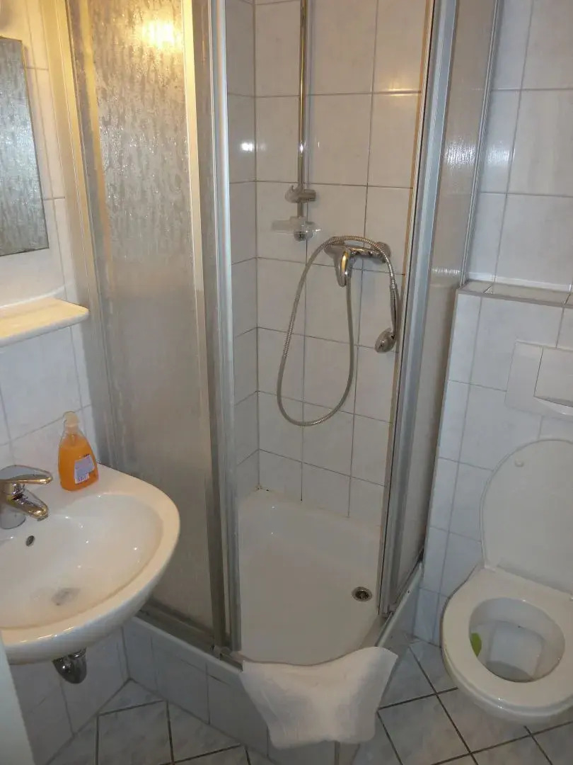 Hotel-Gasthof Grüner Hof