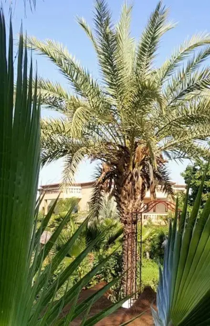 Weedan Ferme d´hôtes