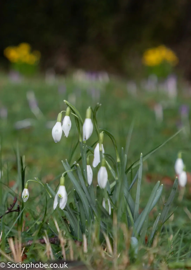 Tŷ Mawr Country Hotel
