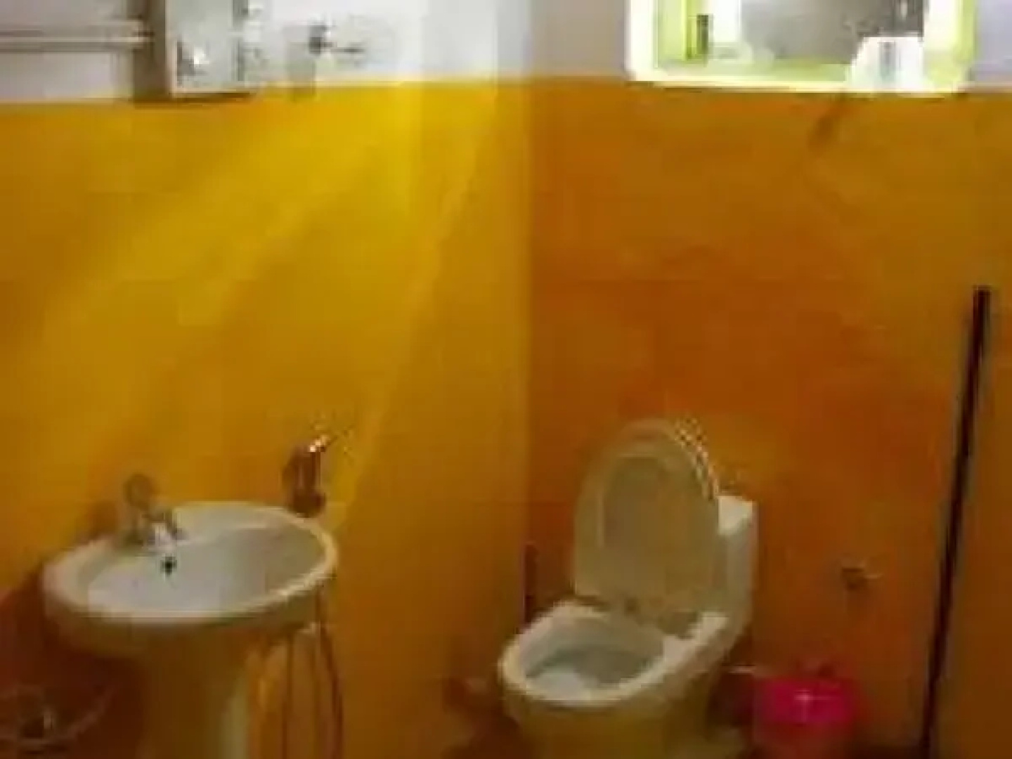 Palace Guest House